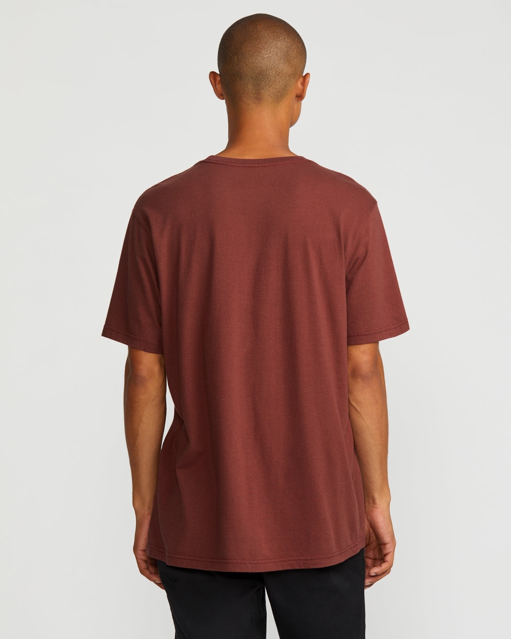 AG Seal Short Sleeve Tee - Red Earth | RVCA online