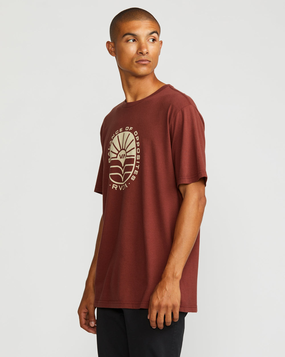 AG Seal Short Sleeve Tee - Red Earth | RVCA online