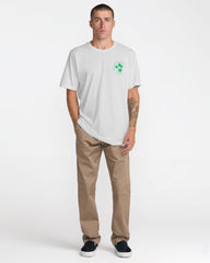 Soil Co Short Sleeve Tee - Antique White | RVCA on sale