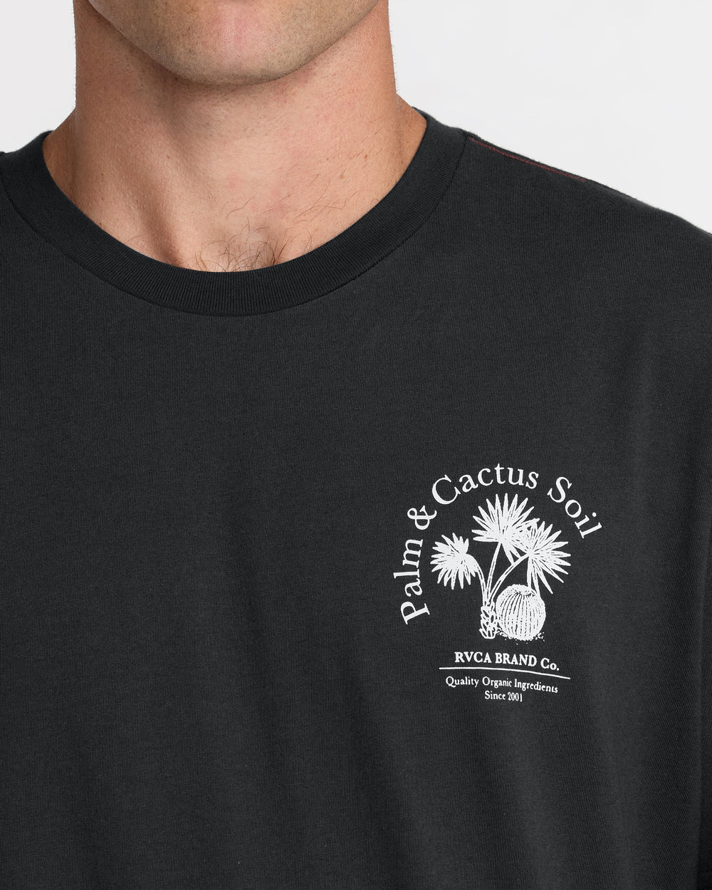 Soil Co Short Sleeve Tee - Pirate Black | RVCA outlet