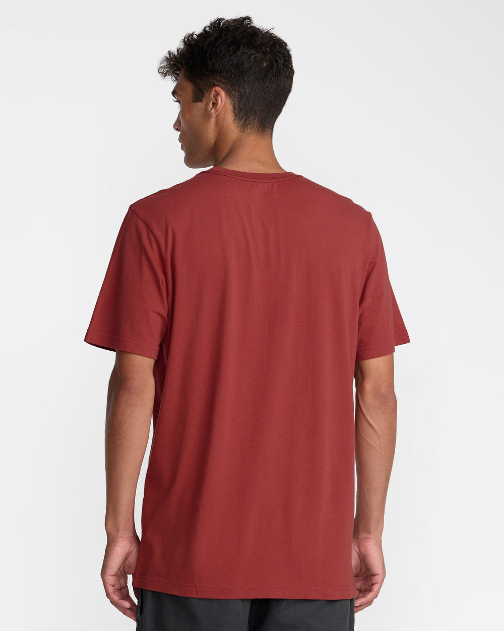 Lions Gate Short Sleeve Tee - Dusty Red | RVCA on sale