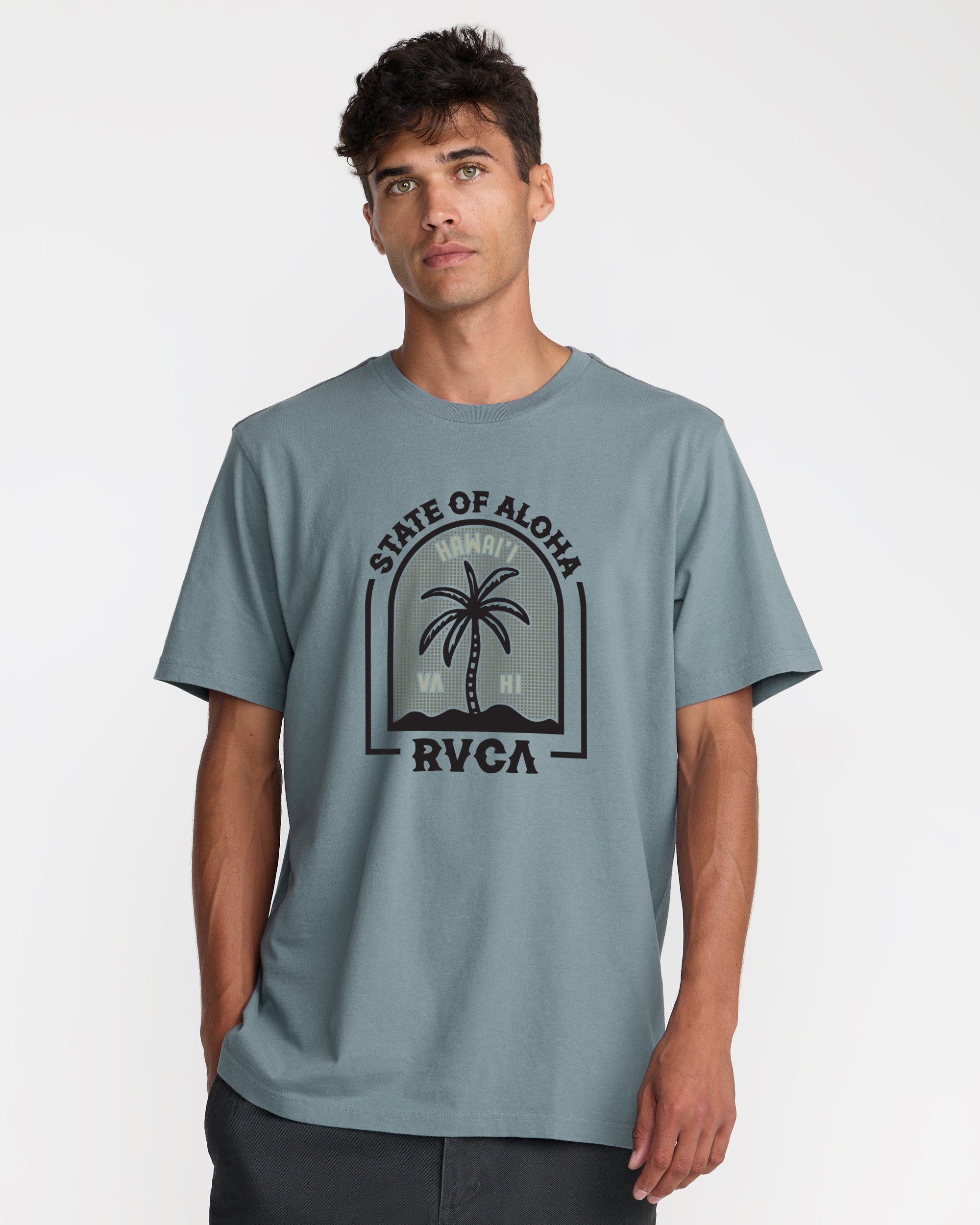 Hawaii Headstone Short Sleeve Tee - Lead | RVCA online