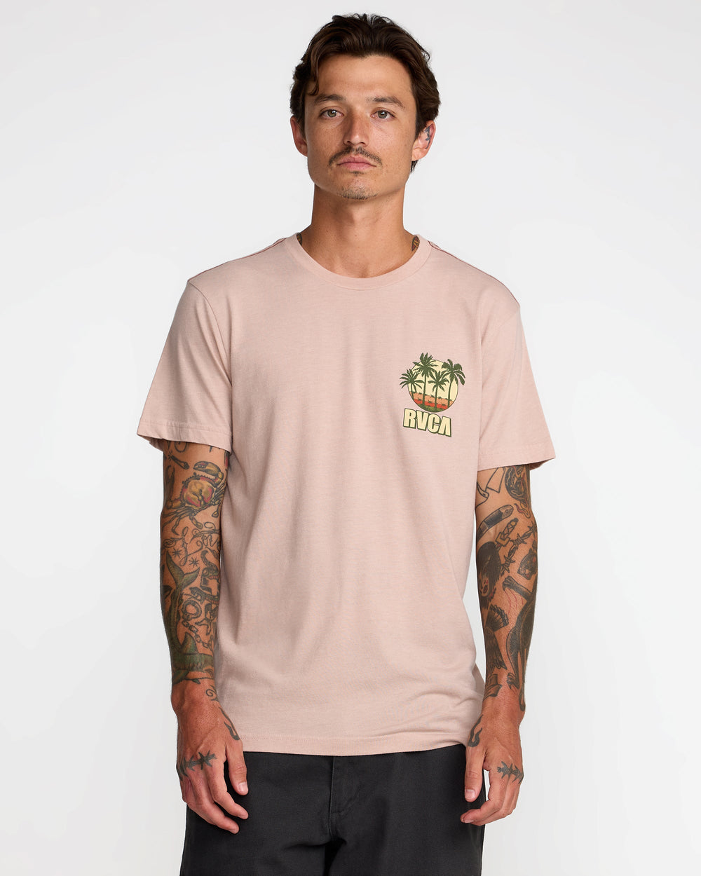 Aloha State Short Sleeve Tee - Pale Mauve | RVCA outlet