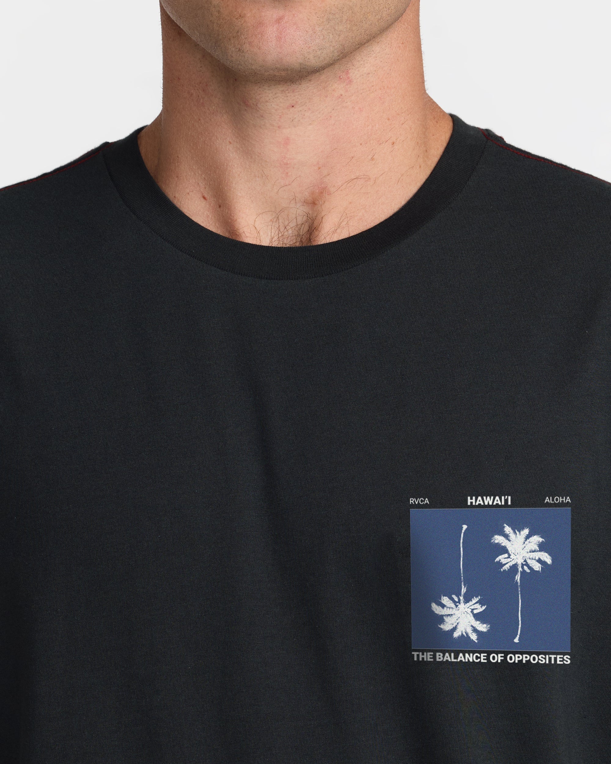 Balance Palms Tee - Pirate Black | RVCA US