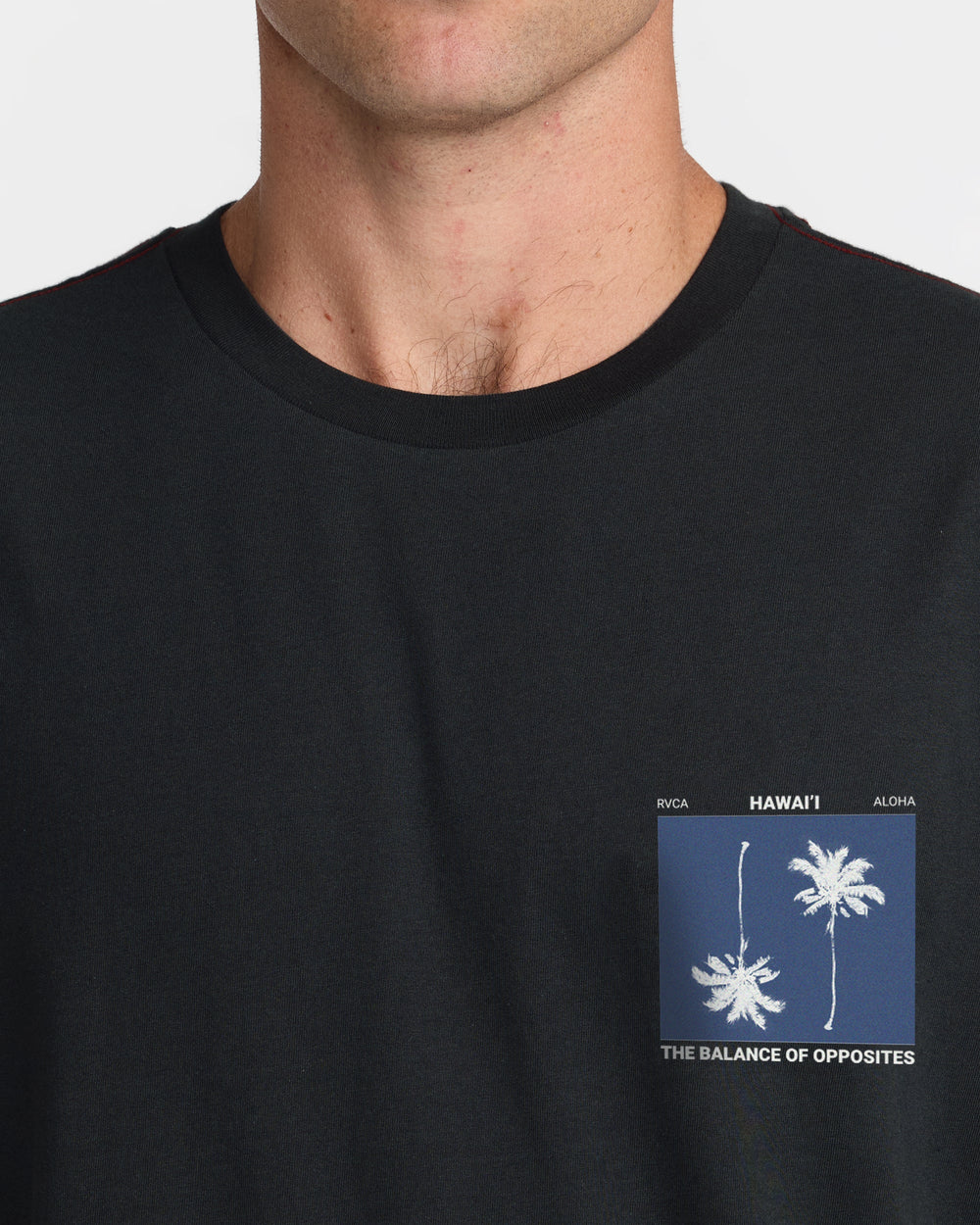 Balance Palms Tee - Pirate Black | RVCA US