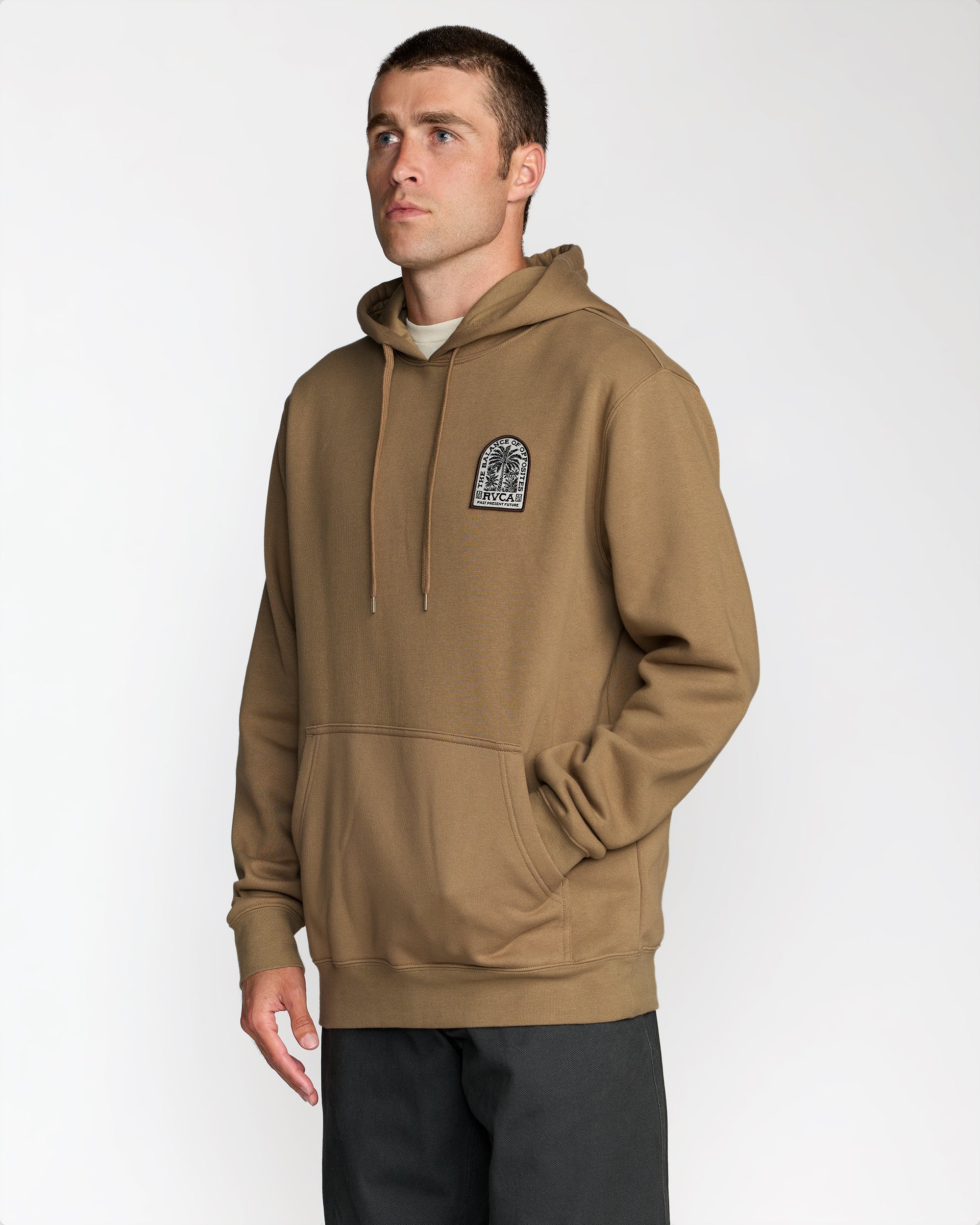 Palm Grove Hoodie - Coyote | RVCA online