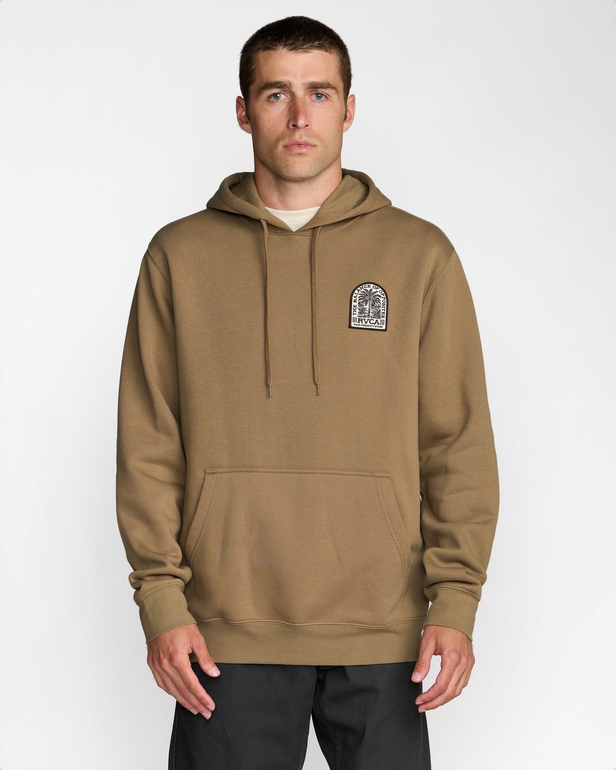 Palm Grove Hoodie - Coyote | RVCA online